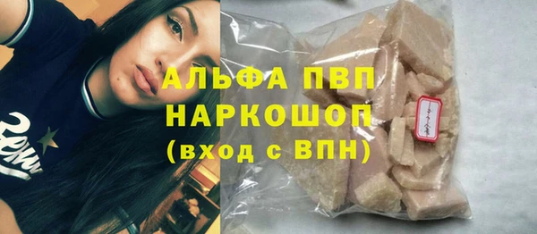 Альфа ПВП Сосновый Бор