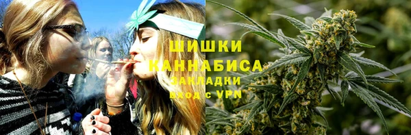Альфа ПВП Сосновый Бор