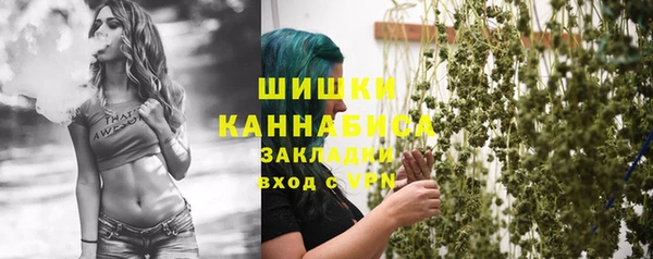 гашик Сосновоборск