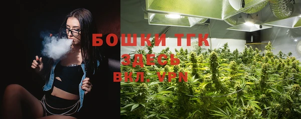 Альфа ПВП Сосновый Бор