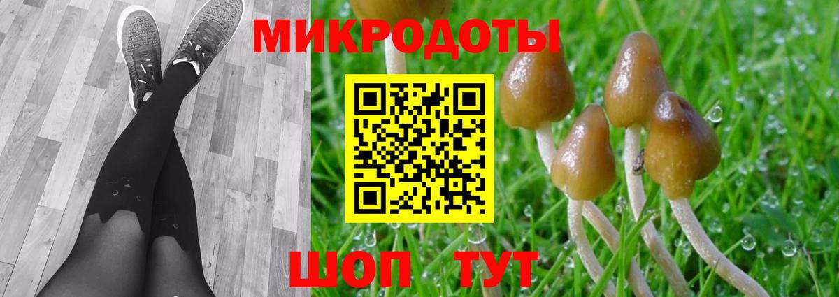 Псилоцибиновые грибы Psilocybine cubensis  Вход с VPN  Туймазы 
