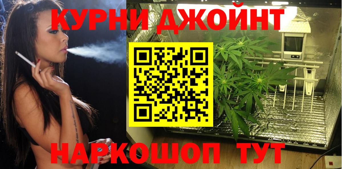 Канабис OG Kush  Вход с VPN  Каннабис тримм  Шишки марихуана AK-47  Туймазы  МАРИХУАНА Bruce Banner 